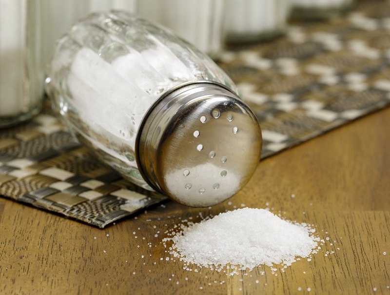 عوارض نمک در غذای سگ
