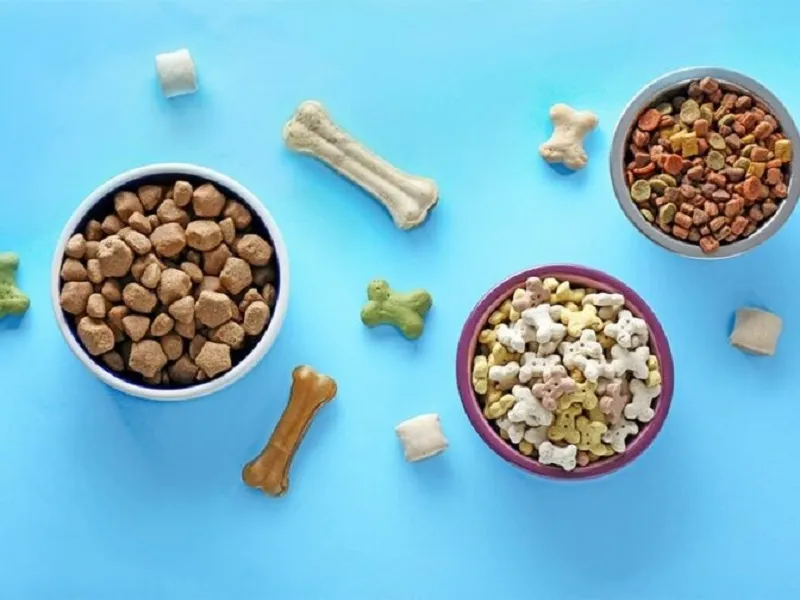 انواع غذای تشویقی سگ