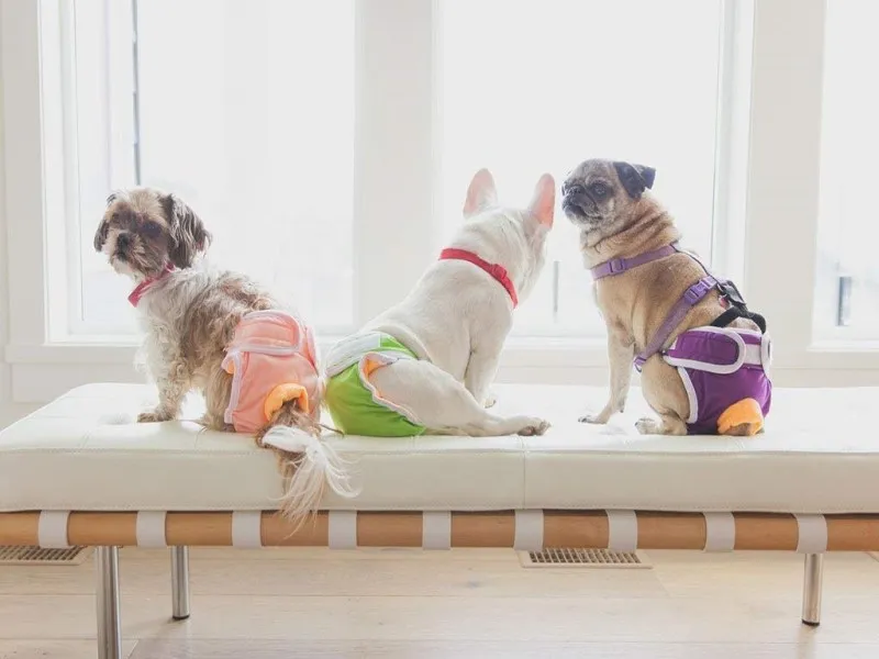 آیا دوران پریودی در تمام نژادها یکسان است؟