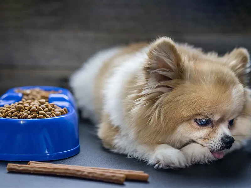 مصرف زیاد تشویقی