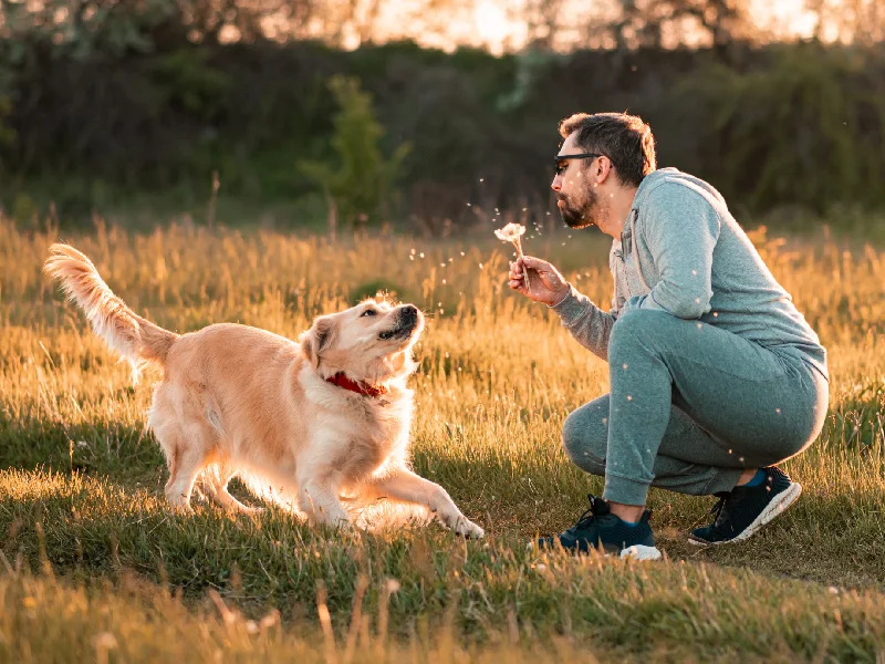 چرا تغذیه مناسب اهمیت دارد؟