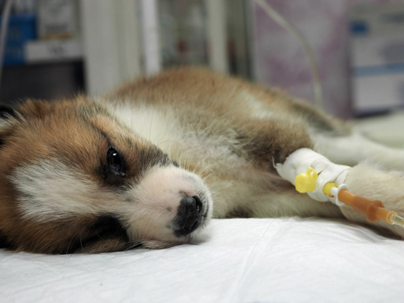 درمان پزشکی