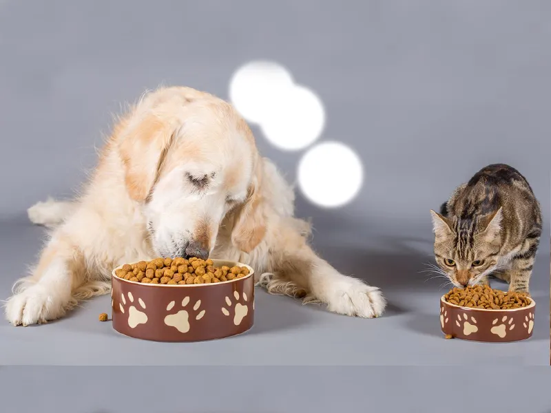 خطرات بلند مدت