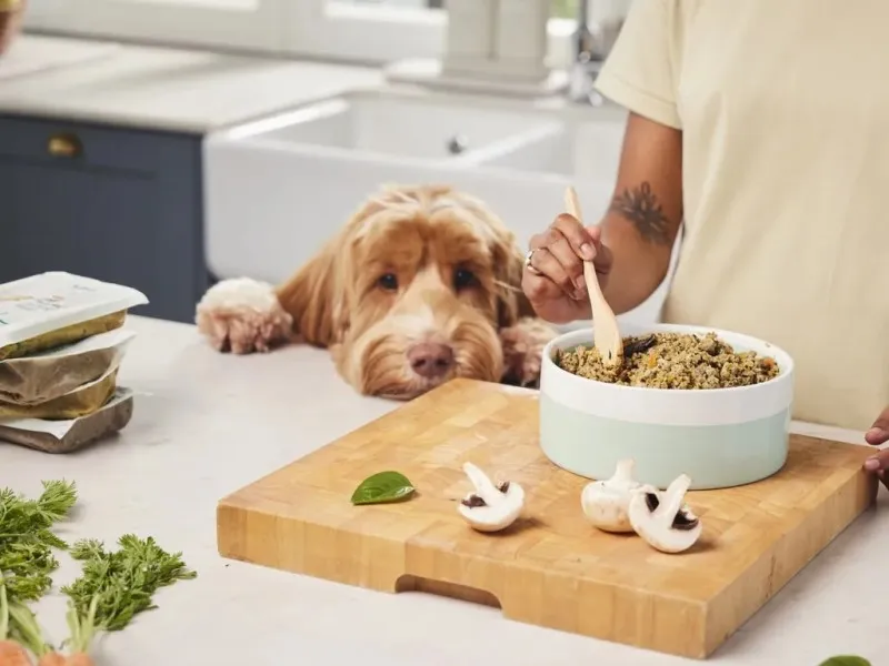 8. غذای گیاهی با بوقلمون