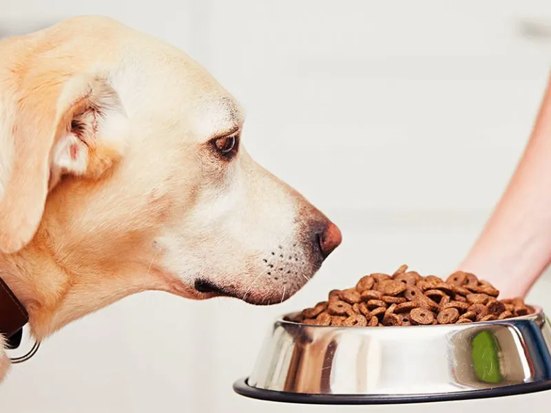 تقسیم بندی وعده ها