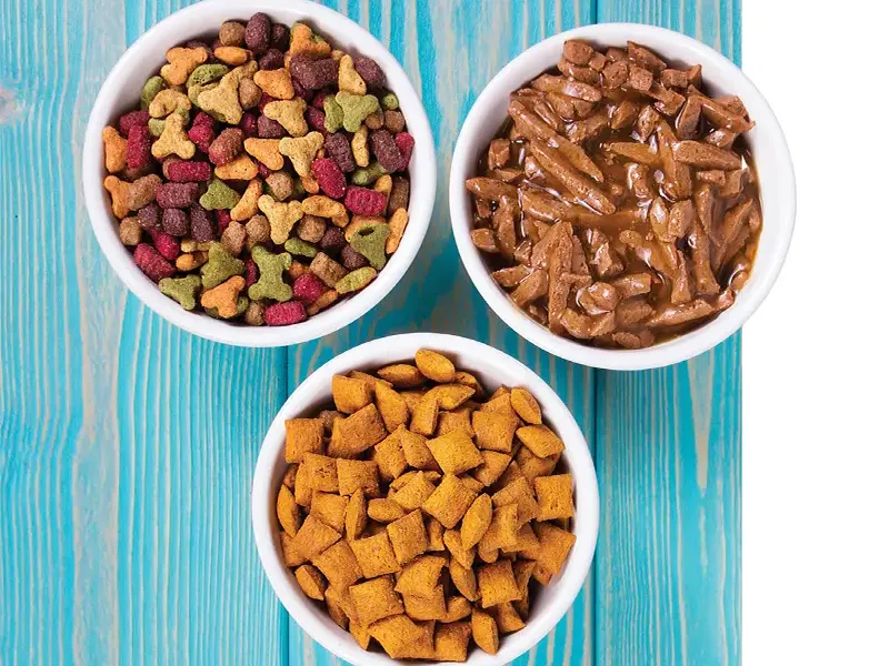 مقایسه تاثیر غذای خشک و غذای تر برای دندان گربه