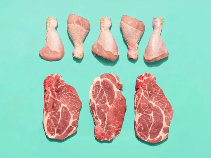 پروتئین در غذای گربه نژاد بریتیش