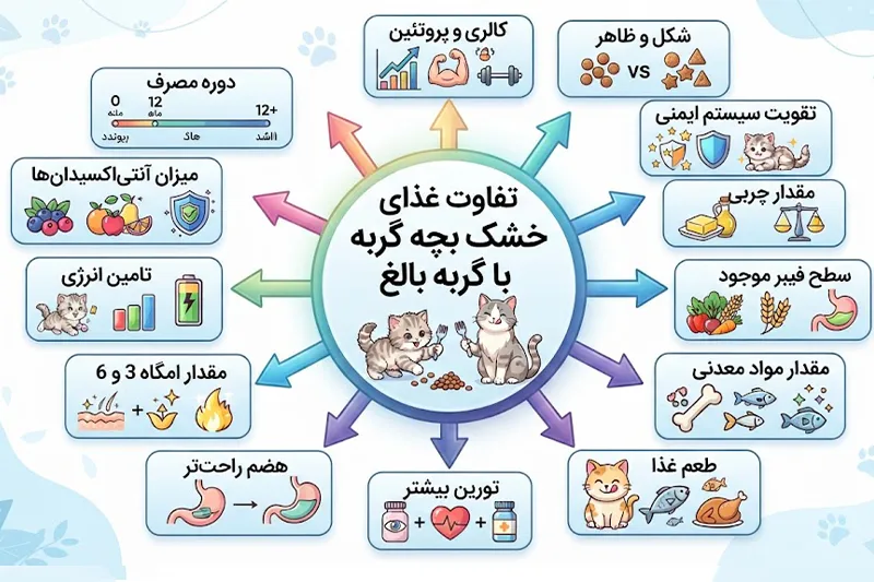فرق غذای بچه گربه با گربه بالغ
