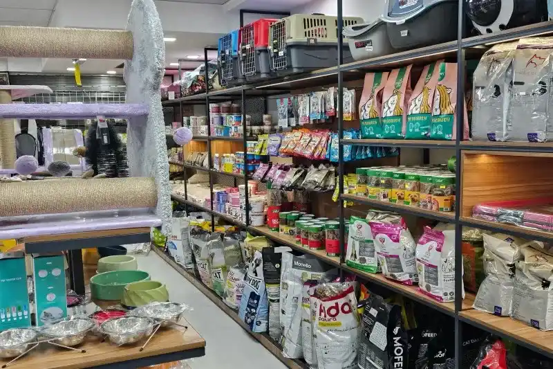 تقاضای واقعی و مقاوم در برابر رکود و تورم